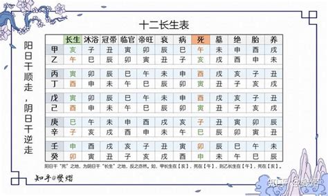 12 長生表|八字算命基礎——十二長生